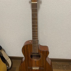 Fender エレアコ