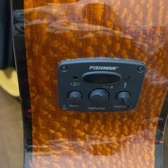 Fender エレアコの画像