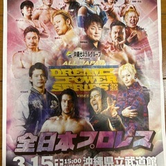 全日本プロレス チケット×2枚 3/15(土) 15：00〜