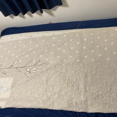 大きいマット、ブランケットの画像