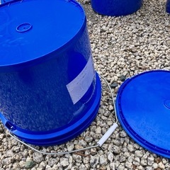丈夫なプラバケツどれでもの画像