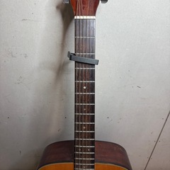 【677】Morris アコースティックギター MD-201Nの画像
