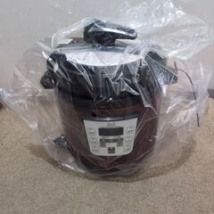 🍎未使用 D&S ディーアンドエス 簡単調理電気圧力鍋 STL-EC30Rの画像