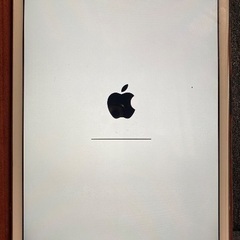 iPad mini 4 Wi-Fiモデル 128GB MK9P2...