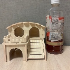 ハムスター 小動物のお家の画像