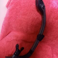 ダイビング　シュノーケル　　アクアラング　Aqualung