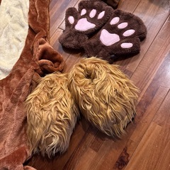 虎の着ぐるみセットの画像