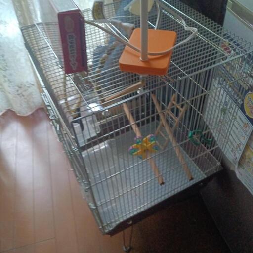 鳥かご
