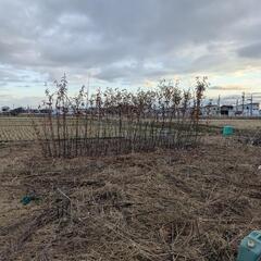 ユンボお持ちの方