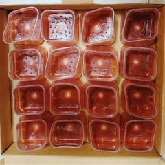 椅子脚カバー シリコン　正方形　16個【未使用】の画像