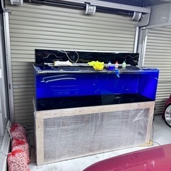 商談中カンテツ水槽