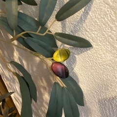 【最終値下げ】フェイクグリーン譲りますの画像