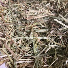 US産チモシー　1番刈り　ダブルプレスの画像