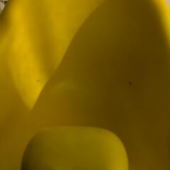 バンボ　イエロー　黄色　Bumbo yellowの画像