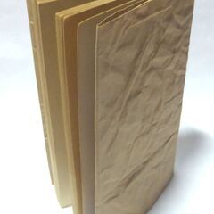 【新書版古本】「五輪書入門」　奈良本辰也　徳間ノベルズ　6刷・・・剣の道に偶然はない。武蔵は勝負に神にも仏にも頼まず。頼む心が敵に1歩後れを取る・・・の画像