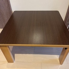 こたつです^_^の画像