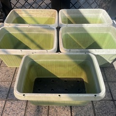 家庭菜園プランターと植木鉢の画像