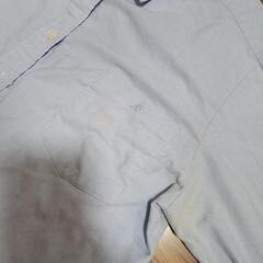 成立学園　水色　ワイシャツの画像