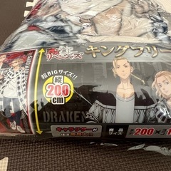 東京リベンジャーズ　キングフリース
の画像