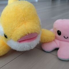 ぬいぐるみ