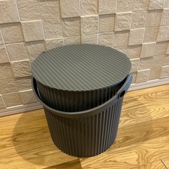 オムニウッティ　Lサイズ