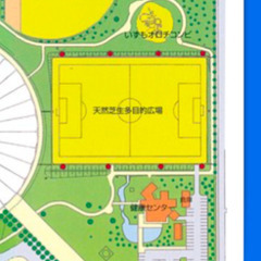 ディオッサ出雲FC　サポーター募集 - スポーツ