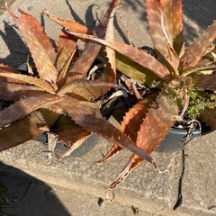 終了しましたの画像