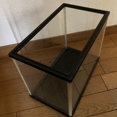 小型水槽セット　(希望者にはメダカ、シュリンプ、水草付き)の画像