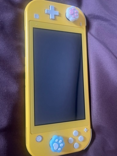 その他 Switch light
