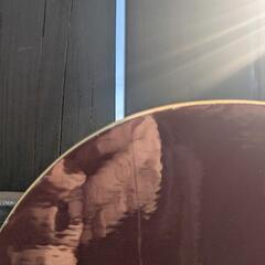 Kissmark　スノーボード板の画像