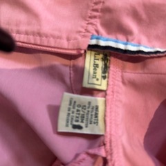 LLBean 春パーカーの画像