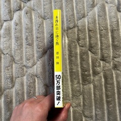 「木洩れ日に泳ぐ魚」 恩田 陸　文庫本の画像