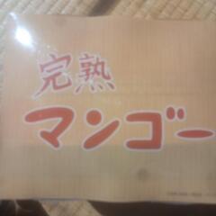 はこぬい　完熟マンゴーの画像