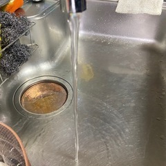 済案件です