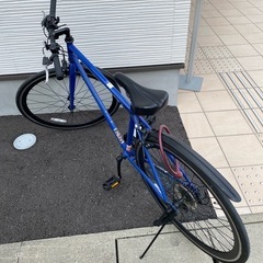 引取限定】大日産業 スカラーレ ジュニアB 24インチ カーキ