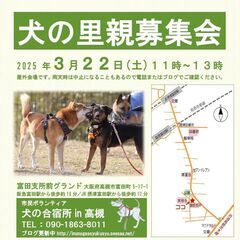 「犬の合宿所in高槻」で保護しているわんこ達里親探しの会を行います。