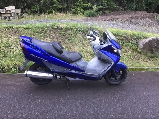 スズキ　250