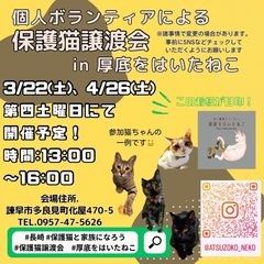 3月🍡長崎の個人ボランティアによる保護猫譲渡会