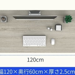 電動昇降デスク Flexispot 昇降式テーブル オフィスデスク スタンディングデスク 昇降 学習机 パソコンデスク リモートワーク デスク 在宅 テレワーク 昇降式 高さ調整 電動昇降テーブルの画像