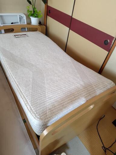 ニトリ　電動ベッド