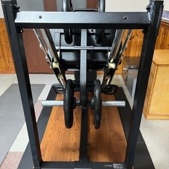 レッグプレス　POWER TEC P-LP19の画像
