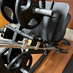 レッグプレス　POWER TEC P-LP19の画像