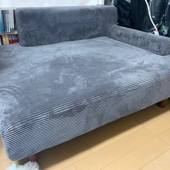 ソファ　ニトリ　ロータイプ　1人用　　