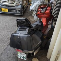 タイムセール！早いもの勝ちです！の画像