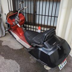 タイムセール！早いもの勝ちです！の画像