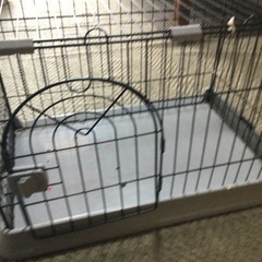 猫用ゲージの画像