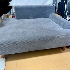 ソファ　ニトリ　ロータイプ　1人用　　の画像