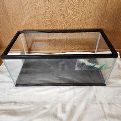 GEX 60×30×26cm水槽 ヒビあり おまけ手動ポンプ