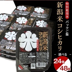 米 パックご飯 パックライス ご飯パック 選べる 150g×48...