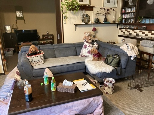 決まりましたソファーセット